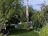Putting Greens, Bay Area - San Jose, CA8